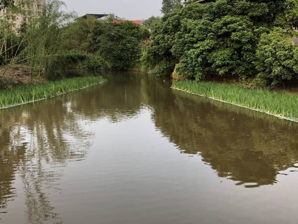 1615431948187000337.jpg 2.jpg