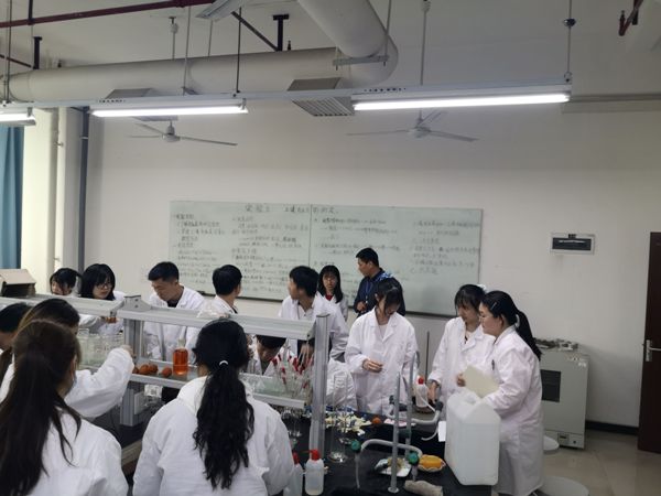 1618973639107096843.jpg 3.jpg