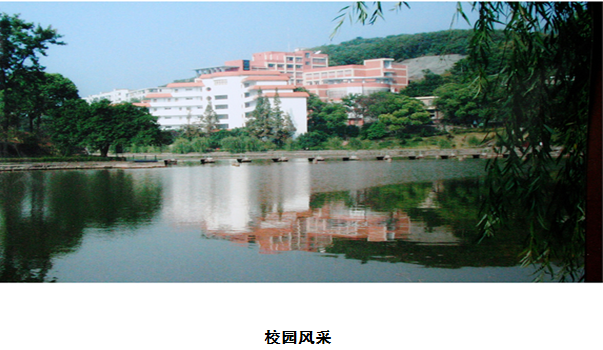 1621481628598010555.png 2.png