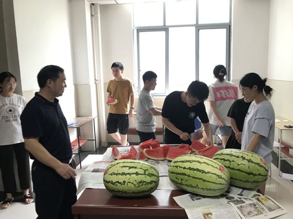 1627882931615070746.png 3.png