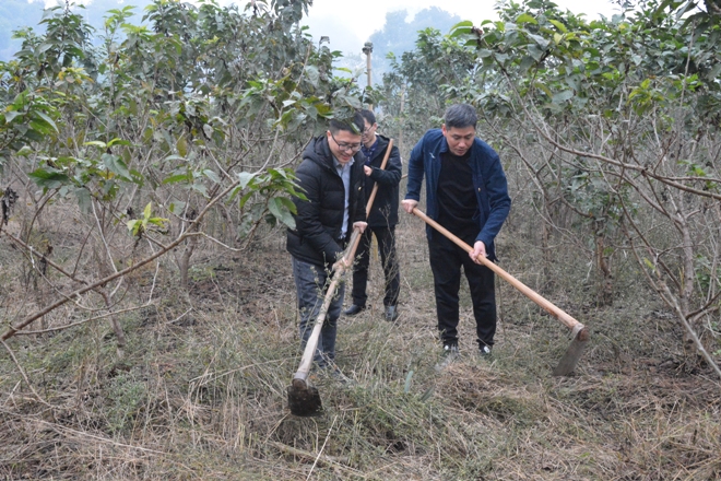 1638758336248009483.jpg 2-1.1.jpg