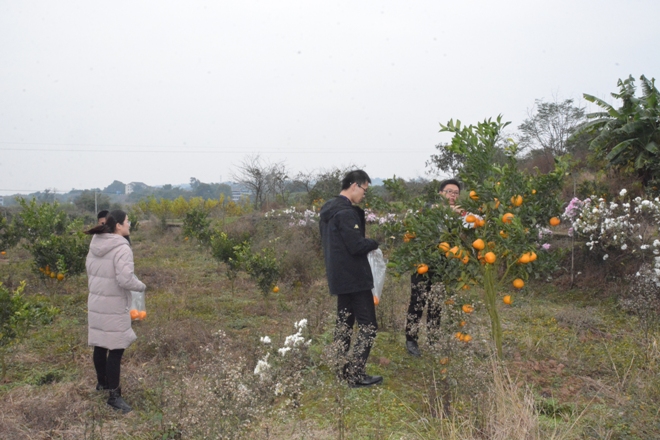 1638758350315028621.jpg 2-2.1.jpg