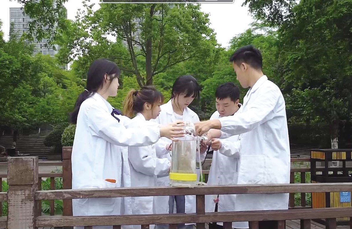 MHem_1744095627018023764.jpg MHem_1744095627018023764.jpg